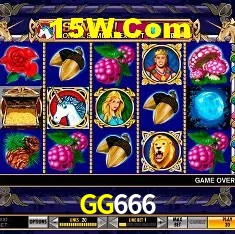 GG666 Salvador - Statistics